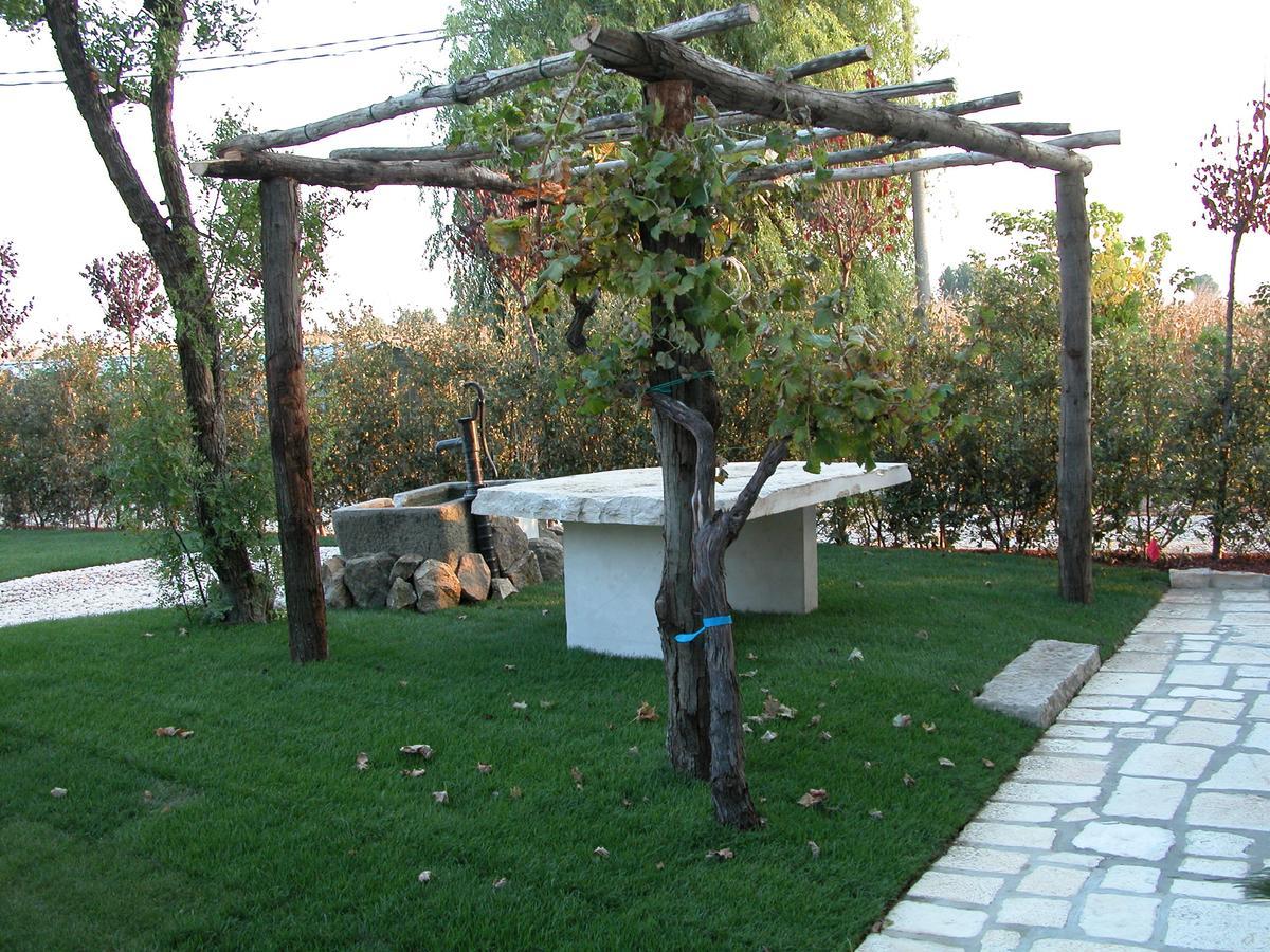 Hotel Da Nicola Montegrotto Terme Zewnętrze zdjęcie